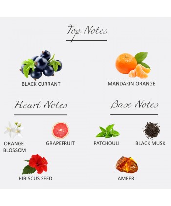 Hs Sergio - Moments  Eau De Parfum 100ML