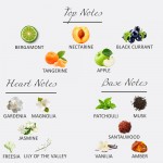 John Loewe - Lizzie Eau De Parfum 100ML