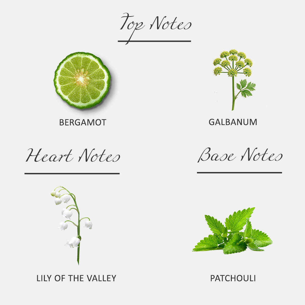 Scent Nostalgia - 11BC Eau De Parfum 100ML