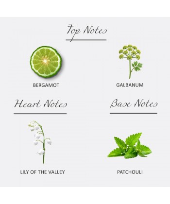 Scent Nostalgia - 11BC Eau De Parfum 100ML