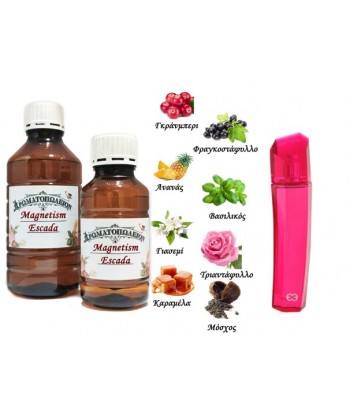 Magnetism - Escada (Type) Magnetism - Escada (Type)