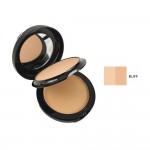 Technic Colour Fix 2 In 1 Powder Plus Foundation Buff