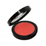 Technic Matte Blusher Coy (11gr)